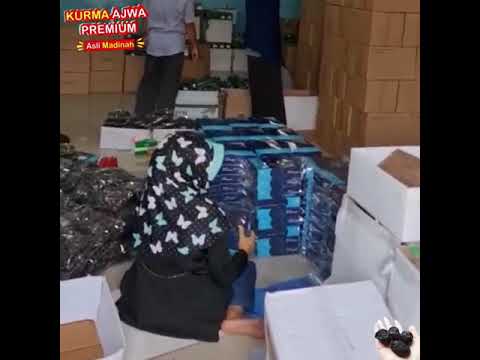 Kurma Ajwa Premium Kurma Ajwa Premium