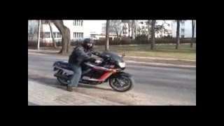 Neon Zawodowiec Leon The Professional Part 5 Of 5