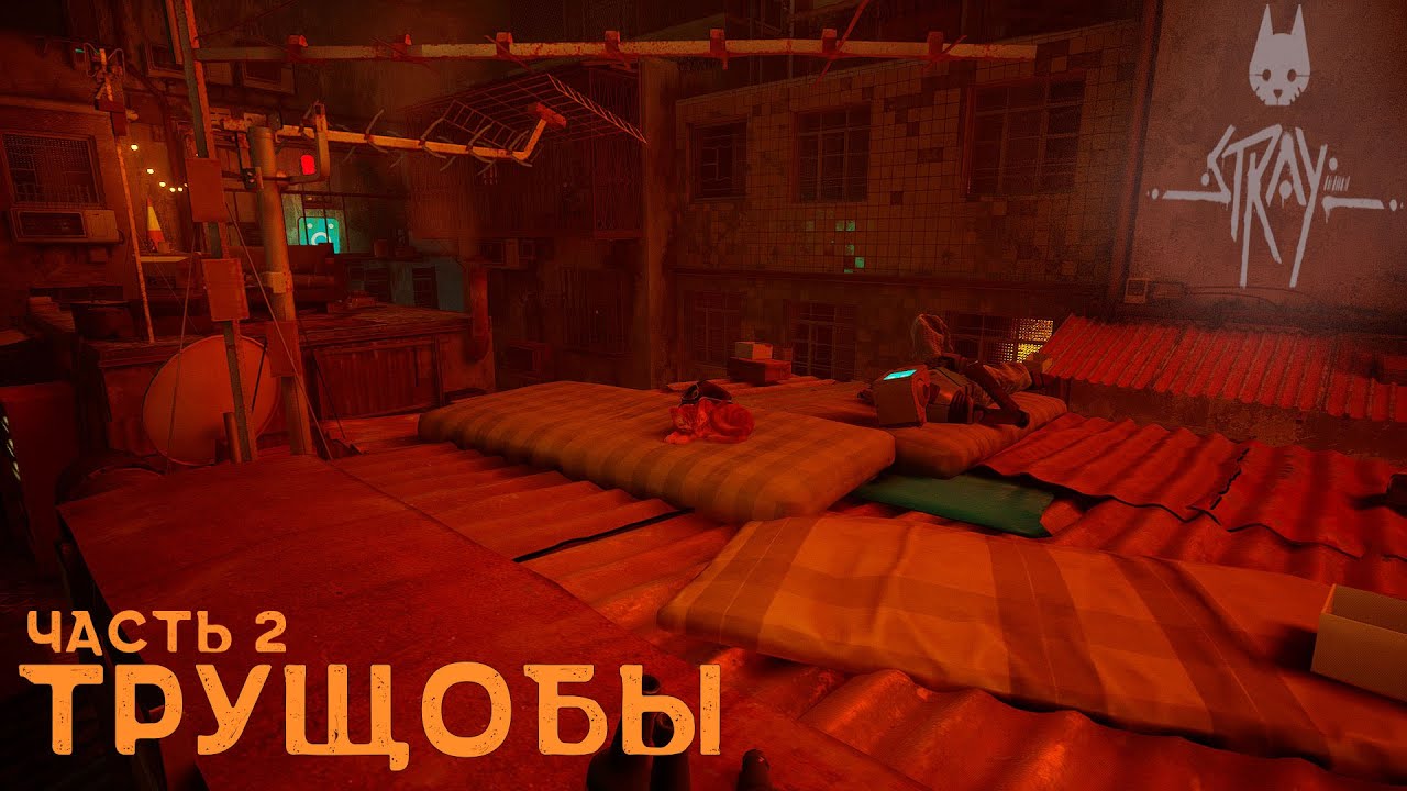 Stray - Встреча с жителями города - 2 - 