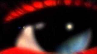 Global Language Association Gla