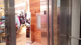 Fully Scenic Schindler 5500 MRL Traction Elevator - Sporting Life - Yorkdale Mall, North York ON