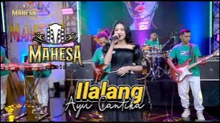 ILALANG Ayu Cantika // MAHESA MUSIC - ULUJAMI PEMALANG #dhehan_audio