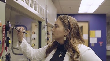 The Cincinnati Experience