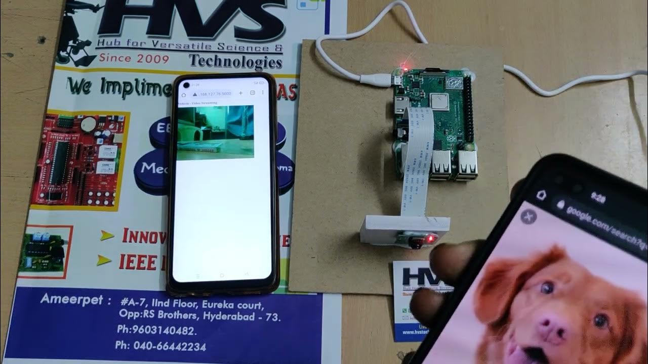 Animal Detection and Classification with Iot monitoring using Raspberry ...