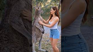 10 Animals Only Brave People Could Rescue 😮 Part 12