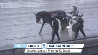2026-08-14 Lopp 3