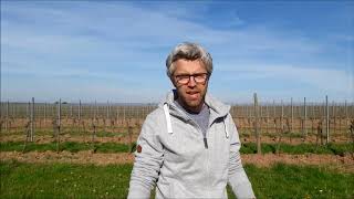 Spätburgunder Rosé trocken Weingut Egon Schmitt Bad Dürkheim Pfalz