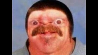 Who Let The Grosse Chatte - Best Song Of The Year -