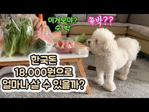 동네 채소가게+빵가게 봉지 하울 ㅋㅋㅋㅋ