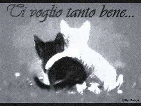 amicizia