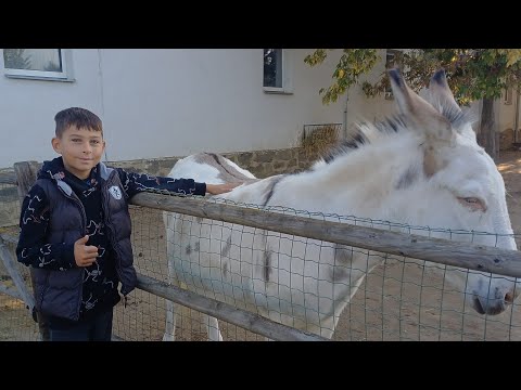 ZOO - Vyškov..