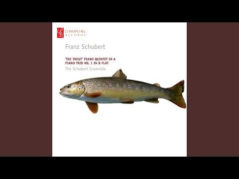 Piano Quintet in A Major, D. 667 ("The Trout") : II. Andante