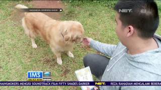 Aplikasi Peto untuk Memudahkan Pelihara Hewan screenshot 2