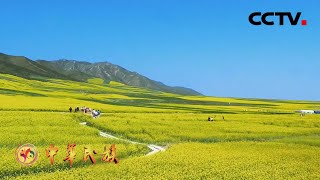 大斗拔谷：农业与游牧交织 成就丝绸之路最美传奇 | CCTV「中华民族」20210127