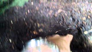 Another Finished Compost Video