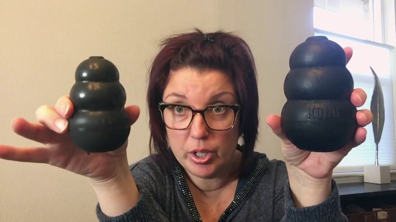 kong toy size