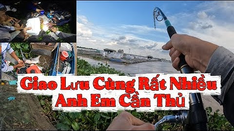 Câu Cá Vồ Đém Mùa Nước Nổi #52 || Chạm Mặt Hàng Khủng Và Cái Kết .
