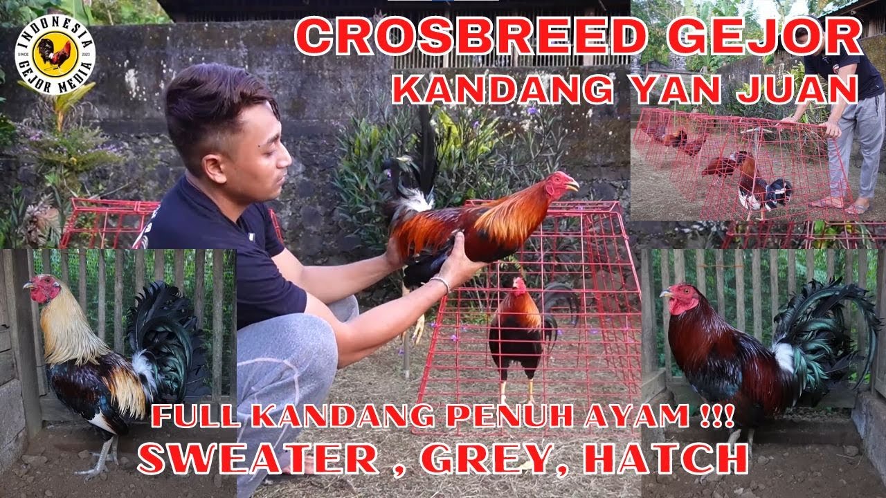 FULL ! SWEATER,  GREY, HATCH CROSS GEJOR HASILNYA MANTAP