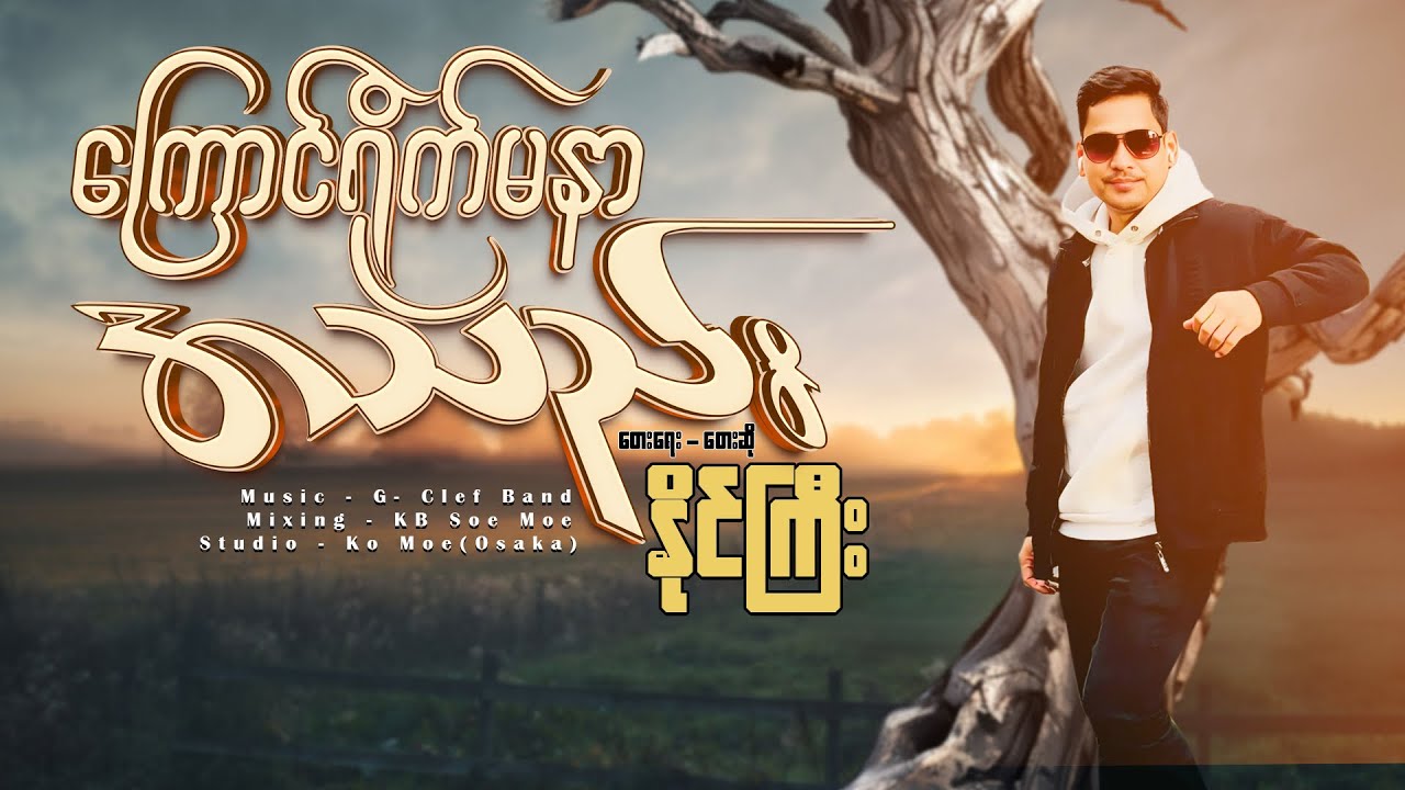 နိုင်ကြီး-ကြောင်ရိုက်မနာအသည်း