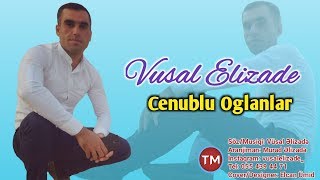 Vusal Elizade - Cenublu Oglanlar Resimi