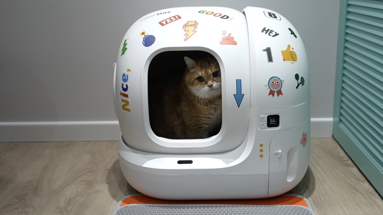 New Self-Cleaning Cat Litter Box for Hosico - PETKIT PURA MAX 