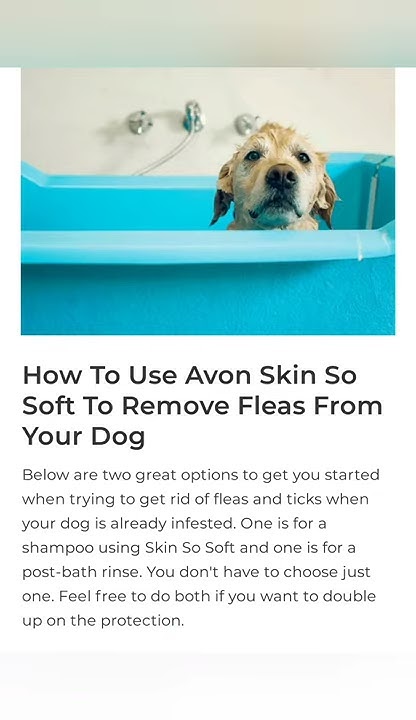 Avon skin so soft for dogs