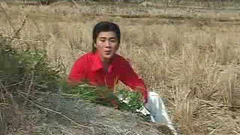 Tan Co -Chien Cong Tham Lang - Dao Vu Thanh
