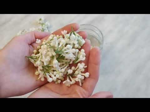 Настойка сирени для лечения суставов и заболеваний опорно-двигательного аппарата