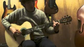 Dolphin Guitars - Jack Spira Guitars Js 2C Dolphin Jumping