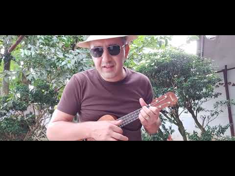 killing-me-softly-with-his-song,-ukulele-cover,-original:-c.-fox,-lyrics:-n.-gimbel/l.-lieberman.