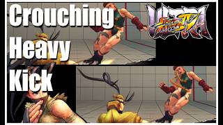 USF4 — Ibuki Crouching Heavy Kick - 07 [Fundamental]