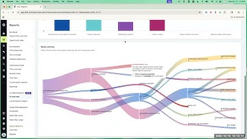Sideline Strategy: AI Overview Report
