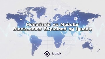 Monolithic vs Modular Blockchains Explained by Iguabit