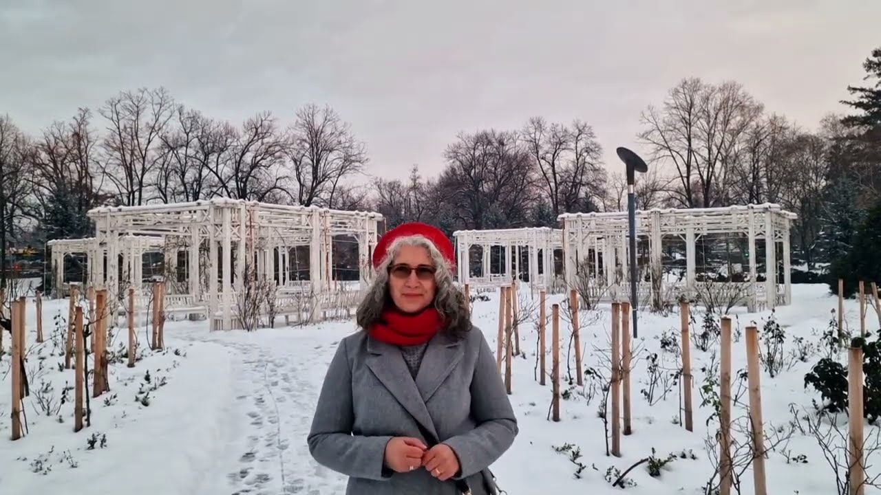 ❄️Timișoara orașul alb 🤍Partea 2 ❄️