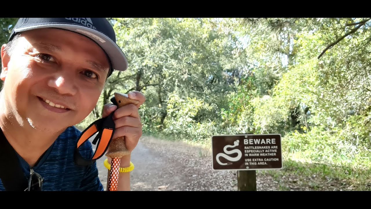 Skyline Ridge La Honda CA 2021