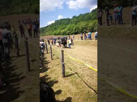 Štraparijada striježevica 2018 camera iphone 8 plus apk