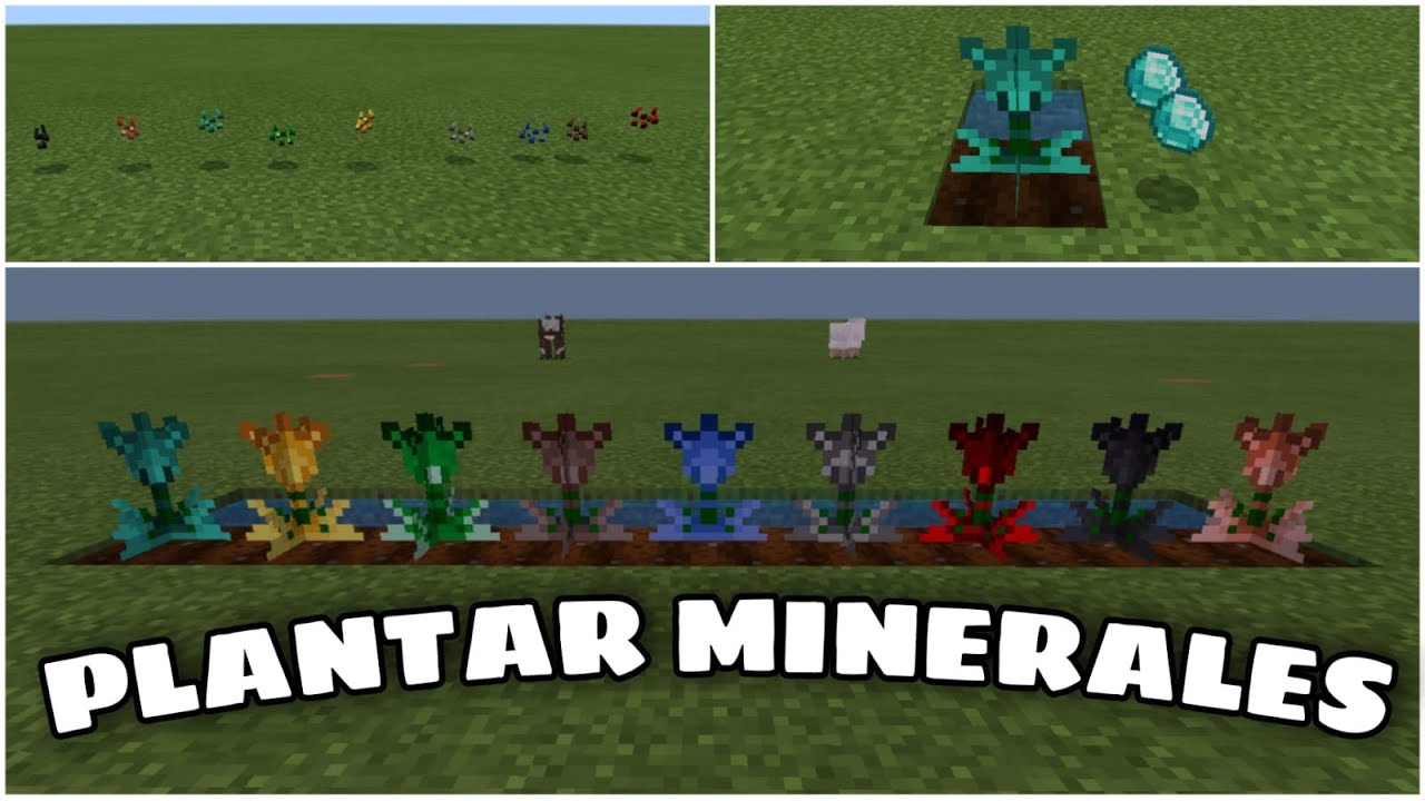 👉Plantar Minerales en Minecraft pe👈ADDON MINECRAFT BEDROCK - YouTube