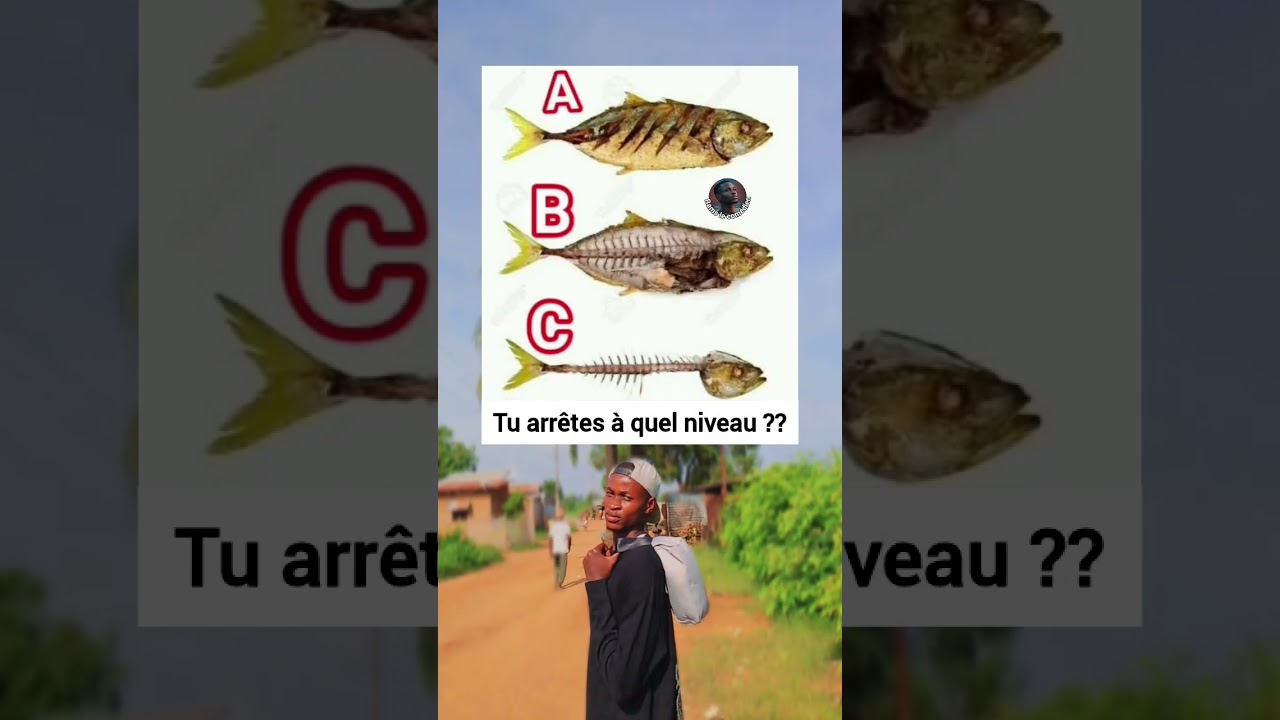 Guest House Latest Telugu Full Movie 4K Lukman Avaran Sreeja Das Sudhy Kopa Telugu NewMovies - YouTube Auto PHP Script