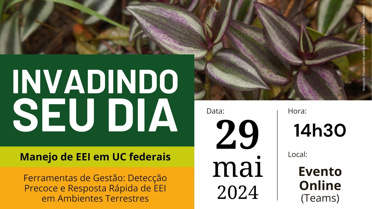 Invadindo seu dia   Ferramentas de Gestão DPRR de EEI em Ambientes Terrestres (29/05/24)