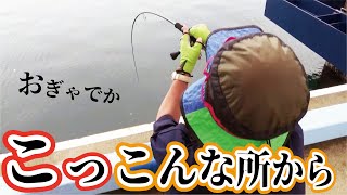 おぎゃでか！浮き堤防に何度も張り付く巨大魚が出現【衝撃お宝映像】