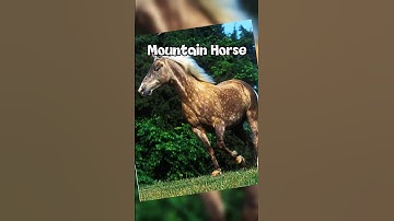 Star Stable Horses But In Real Life Star Stable Edit!😱 / Sso Short / Sso Edit #sso #starstable