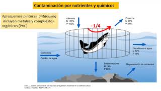 ¿Salmonicultura Sustentable?