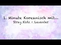 1Minute Koreanisch …. Stray Kids- Levanter