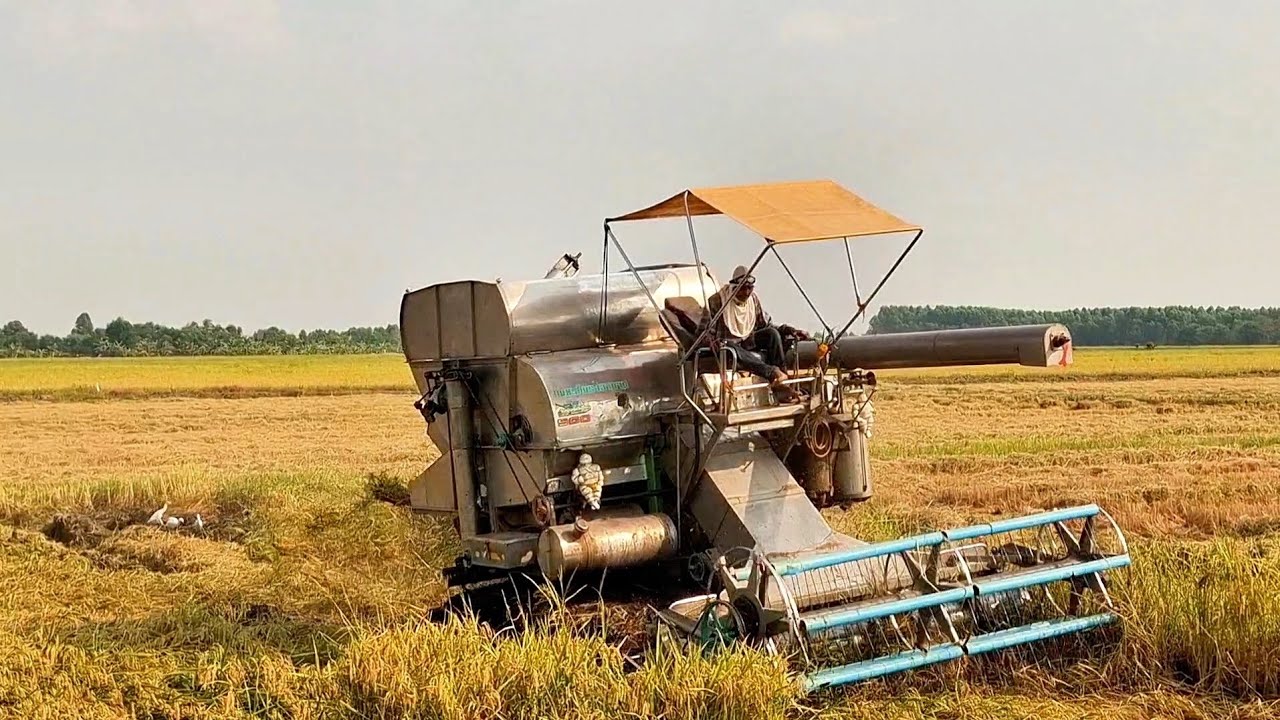 แรงหรือไม่แรงไม่รู้ แต่ที่รู้ๆควันไม่มีเลย บวกกับสไตร์การขับที่ดุดัน..