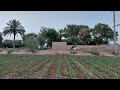 Complete Work Routine |Pakistani Vlog |Hassan Village Vlog