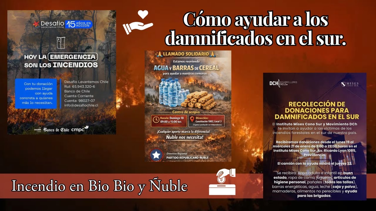 Cómo ayudar a los damnificados de los incendios en el Sur - YouTube