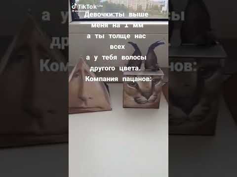 мем номер 155