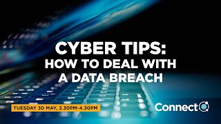 Cyber tips: how to deal with a data breach