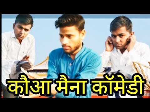 कौआ मैना कॉमेडी धमाका 😂😂।। india comedy house/Ich p k Rahi comedy