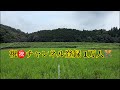 うきは市の梨農家さんに芸能人が支援⁉️どう思う🍐